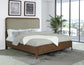 Maderia 57-inch Upholstered Queen Panel Bed Walnut