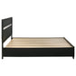 Miranda 51-inch Wood California King Storage Panel Bed Black