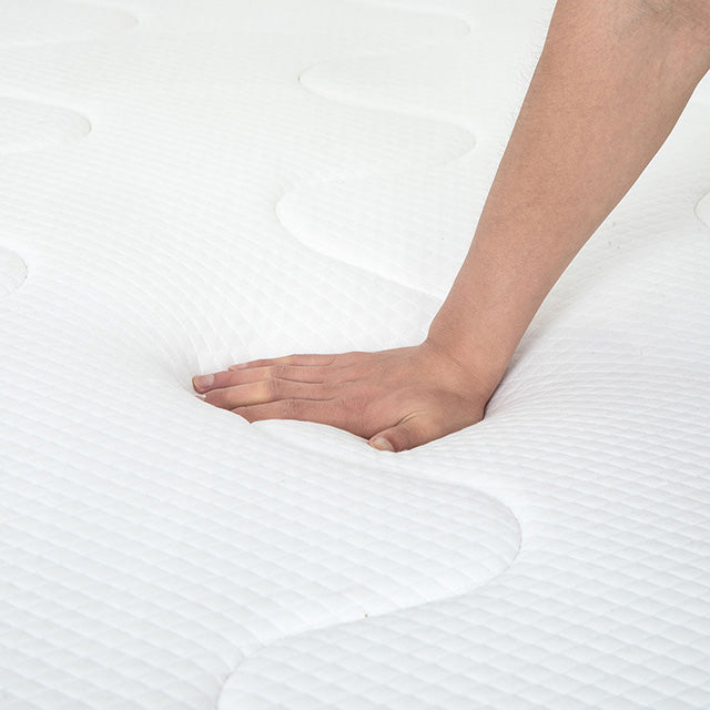 Catmint - 12" Full Innerspring Mattress