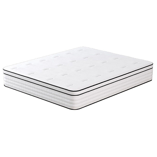 Salvia - 12" Queen Hybrid Pocket Coil Mattress