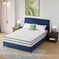 Catmint - 10" Queen Innerspring Mattress