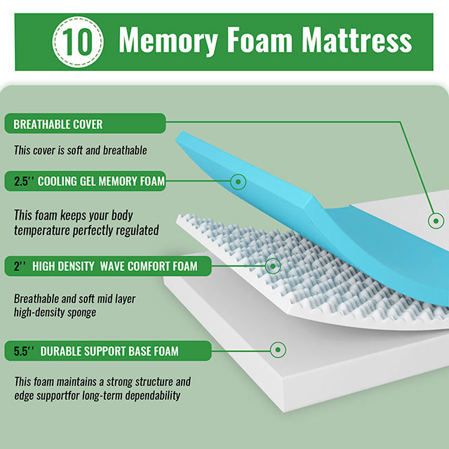 Coreopsis - 10" Queen Memory Foam Wave Comfort