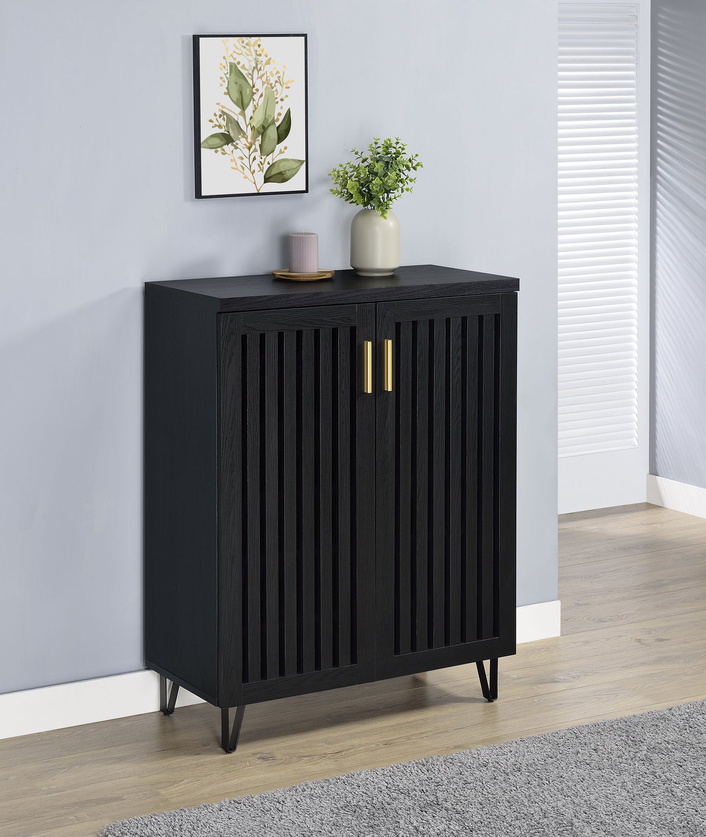 Brixton 2-door Entryway Shoe Storage Cabinets Black