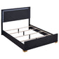 Marceline Wood Queen LED Panel Bed Black